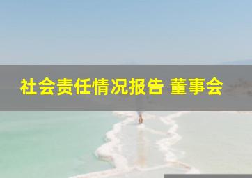 社会责任情况报告 董事会